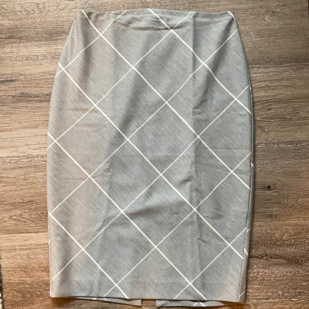 Light Gray Express Skirt with Linear Print - Picture 1 of 8